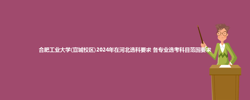 合肥工业大学(宣城校区)2024年在河北选科要求 各专业选考科目范围要求